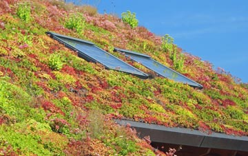 West Yatton living roof systems